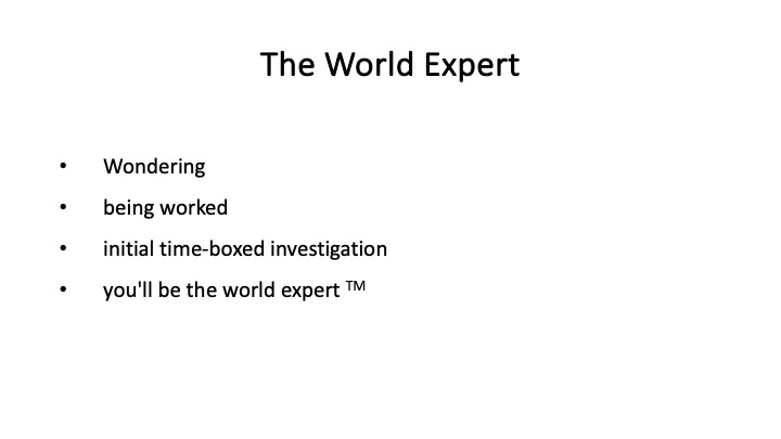 The World Expert
*  Wondering
*  being worked
* initial time-boxed investigation
«  you'll be the world expert ™
